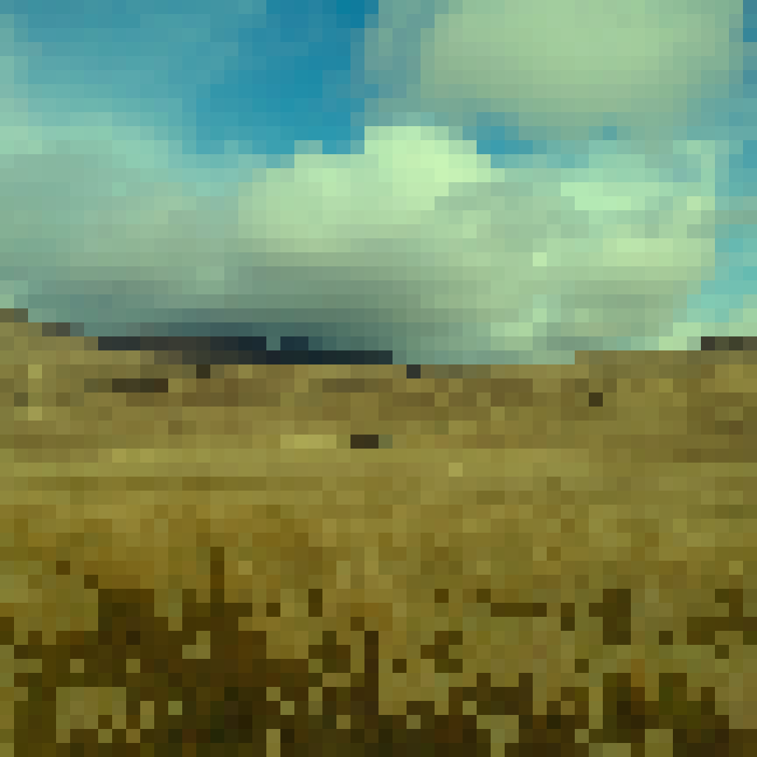 20220415 Hermit bagging