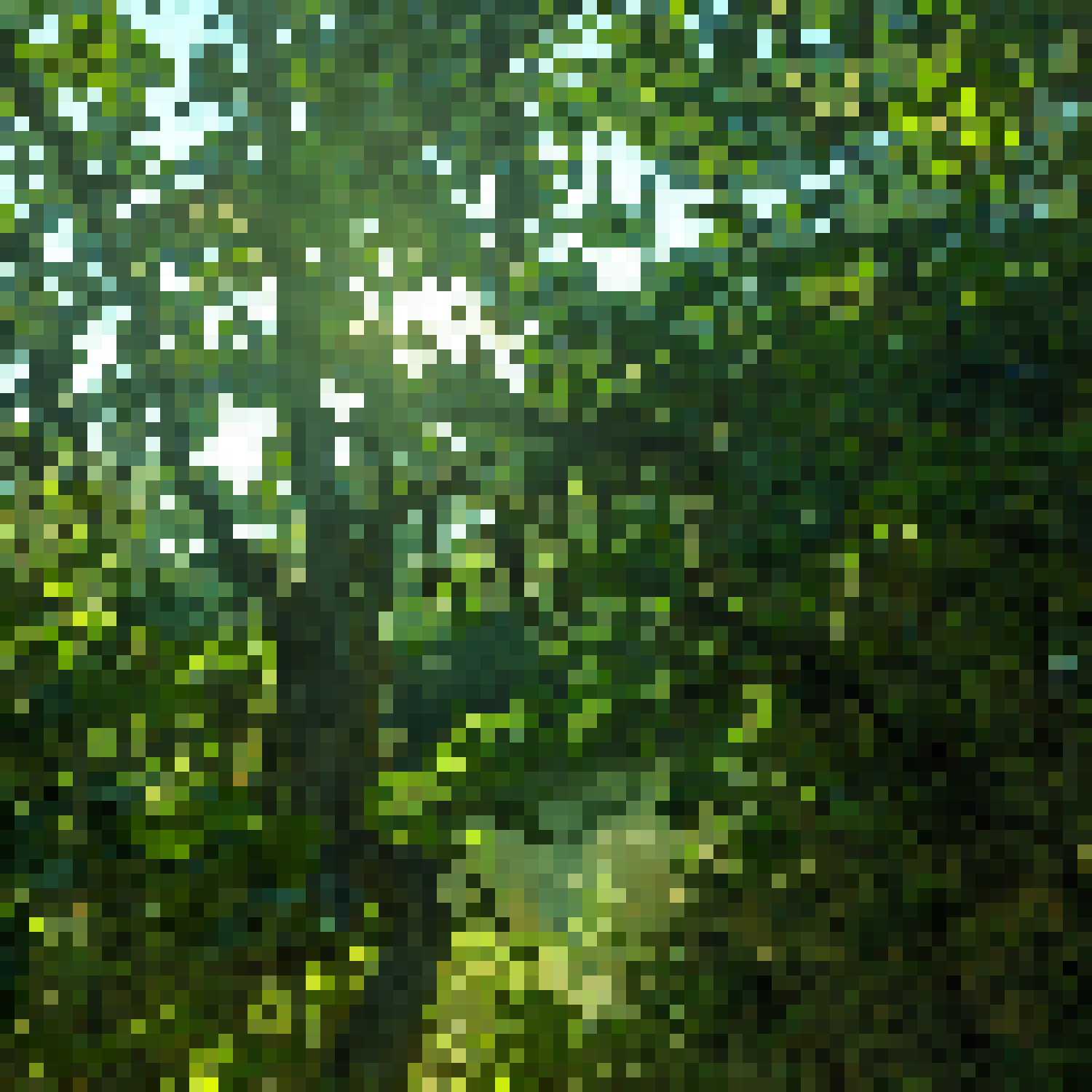 20240731 Truckee to Crater Lake (mile 1824)