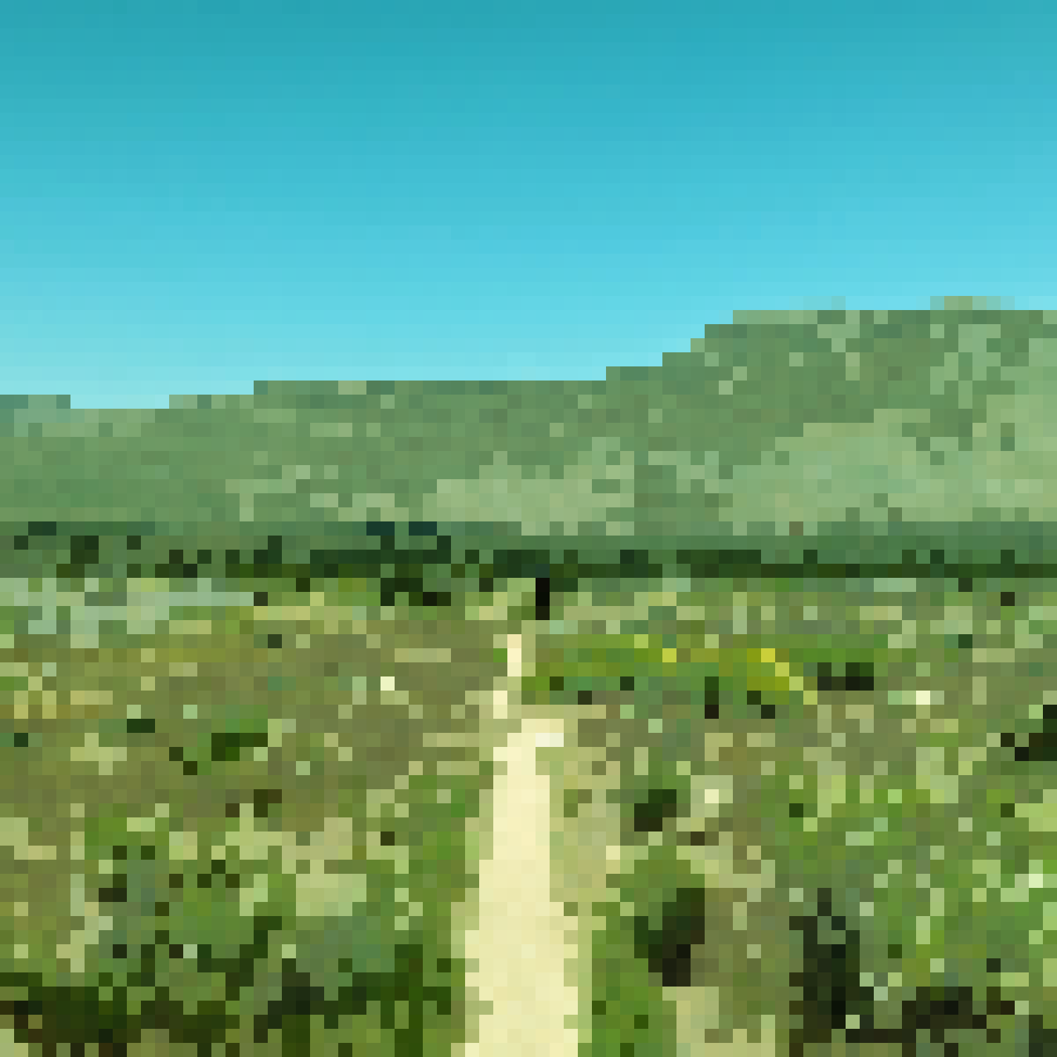 20240504 Campo to Julian (mile 77)